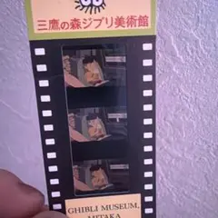 三鷹の森ジブリ美術館 フィルム チケット 入場券 千と千尋の神隠し