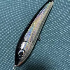 新品未使用　カーペンター　ブルーフィッシュ100 ディアブロ　クオリティ1 楽天市場】ブルーフィッシュ カーペンターの通販