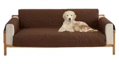 Item thumbnail for item 8ab4cc14-cf74-46f0-aa94-eb47002db0b9