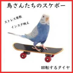 ミニ　スケボー　鳥　インコ　玩具　指スケ　トイ　バード　小鳥のサムネイル