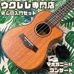 【入門セット】musicのカッタウェイ・コンサートウクレレ【ウクレレ専門店】のサムネイル