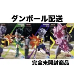 HUNTER×HUNTER　ハンターハンター　ゴン　キルア　ヒソカ　G.I.編