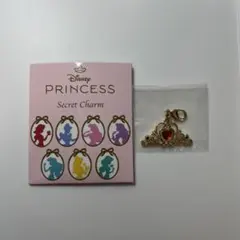 ディズニープリンセスシークレットチャーム　白雪姫