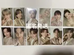 SEVENTEEN トレカ 13枚セット あいのちから - メルカリ