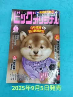 ビッグオリジナル 2025年9月号