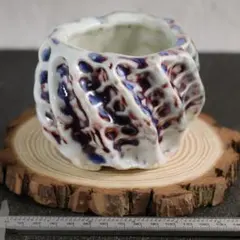 新品 高級 手作り 植木鉢 陶器鉢 多肉植物 観葉 塊根 m146