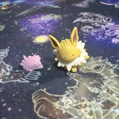 2026年最新】へんしんメタモン ガチャガチャの人気アイテム - メルカリ