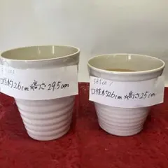 601602 胡蝶蘭が入っていた植木鉢　陶器２個セット