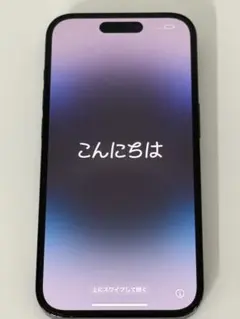 【dsfnqさん用】iPhone 14 Pro 256GB スペースブラック