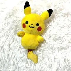 モンポケ　ピカチュウ　ポケモン　ぬいぐるみ