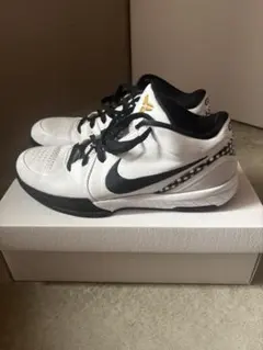 Nike Kobe4 Protro Mambacita GIGI 29 コービーのサムネイル