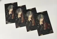 あくねこ　ハナマル　クリスマス　チェキ