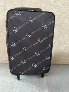 Cecil McBee キャリーケース　非売品　希少のサムネイル