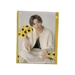 FANTASTICS 八木勇征 フォトカード SUNFLOWER トレカ カード