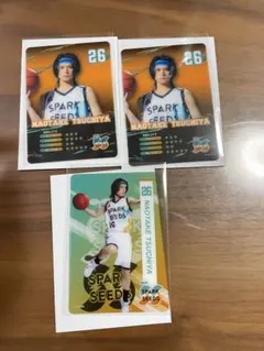 Item thumbnail for item b905e149-3bf6-4cf4-94bc-e52aa8e25ebb