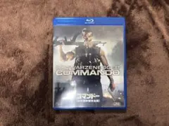 Item thumbnail for item 489f4542-e5e2-4499-99f8-af298854494b