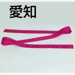 水瀬いのり 愛知 銀テープ Travel Record