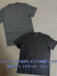 今だけ特価！2枚メンズ 100%メリノウールクルーネック半袖シャツ速乾・抗菌