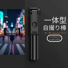 Item thumbnail for item 8469bd63-e6b4-4512-bcba-67e4a2fc0ce4