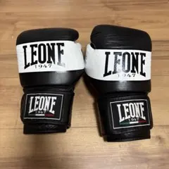 EL GANADOR VELCRO TYPE BOXING GLOVE - メルカリ