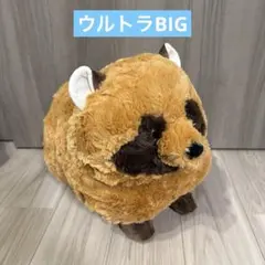 たぬぽんぽんJBぬいぐるみ ぽんぽん ④ - メルカリ