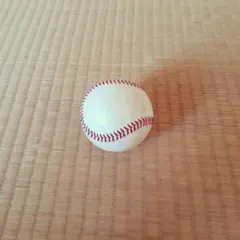 野球　硬式球　テープ巻き　ティー打撃　100球　練習用 ○ 硬式野球ボール(100球)テープ巻. ティー用. 送料込 - メルカリ
