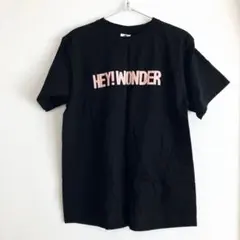 クロマニヨンズ ボーントゥラン 2019 他ツアーTシャツ斉藤和義 甲本ヒロト バンドTシャツ BONE TO RUN 2012 ザ クロマニヨンズ×斉藤和義×andymori
