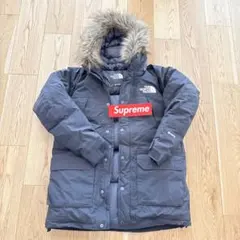 ノースフェイス マウンテンダウンコート ゴアテックス ヌプシ supreme