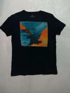 American Eagle ヴィンテージフィット Tシャツ M　USサイズXS