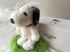 スヌーピー 2001年 セキグチ SNOOPY PURE WOOL 500体限定 - メルカリ