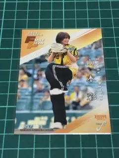 Item thumbnail for item 1fe46ad2-48cc-4b5c-94d5-6cfc122b28a7