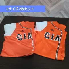 Item thumbnail for item 2a58ca74-951d-497d-95b5-9c2fb5177cac