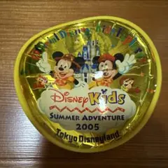【24時間以内発送】ディズニーランド　非売品　ピンバッジ　2005年　レア