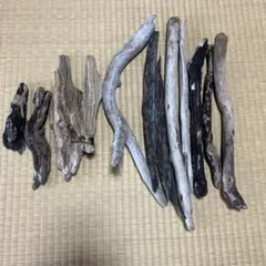 流木 10本セット 自然素材 DIY