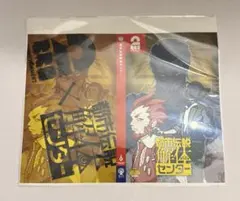 ヴィンランド・サガ アフタヌーン40周年展 複製原稿セット - メルカリ