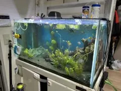 90cm ガラス水槽 ※説明欄要閲覧のサムネイル