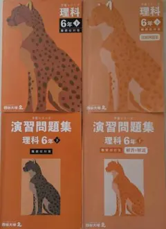 予習シリーズ６年（下）理科【難関校対策】+演習問題集+別冊例題集 四谷大塚