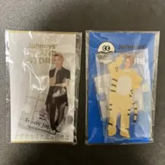 【匿名配送:新品未開封:2個セット】TravisJapan 川島如恵留 アクスタ