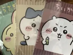 ちいかわ A5 クリアファイル キャンドゥ セリア うさぎ ハチワレ