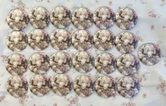 棗巳波　アイナナExpo 缶バッジ