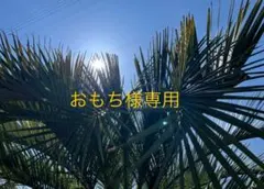 リンネル付録 スヌーピー SNOOPY 大きく開くレザー調ポーチ