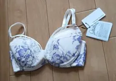 rienda suelta リエンダ スエルタ ブラジャー B65-70のサムネイル