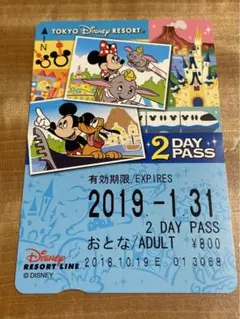 【未使用・有効期限切れ】30周年記念ディズニーリゾートライン2DAYPASS 2025年最新】ディズニー リゾートライン 2dayの人気アイテム