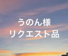 うのん様 リクエスト 2点 まとめ商品