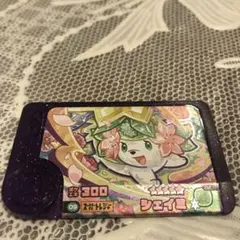 シェイミいっこ￼