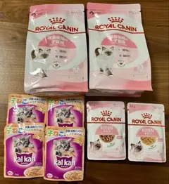 Item thumbnail for item 54e15eb9-1645-4fba-8386-8f74070e387e