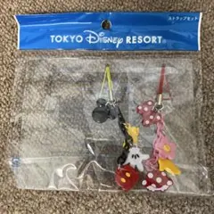 限定セール！現品限り！TOKYO DISNEY RESORT ストラップ2セット