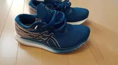 asics アシックス エボライド3 23.5 EVORIDE