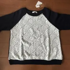 Item thumbnail for item f5f941ca-6cd9-49e8-ba36-56f912786427