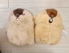 おやすみグーグーギミック マーモット ぬいぐるみ 2個セット